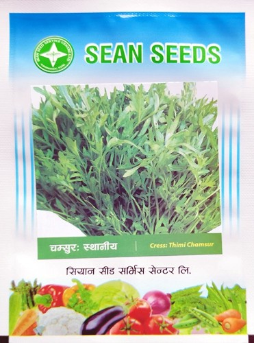 Cress: Thimi Chamsur