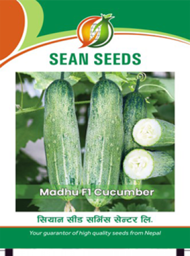 Cucumber: Madhu F1